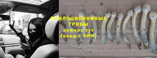jwh Нея