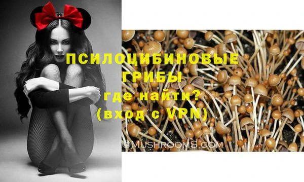 индика Аксай